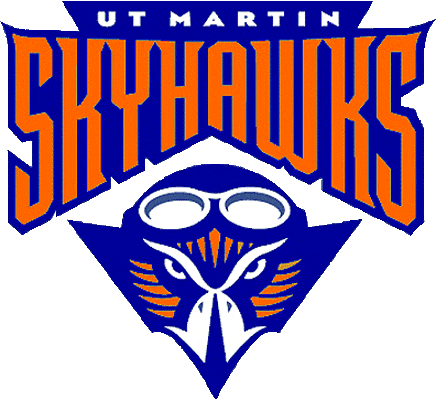 Tennessee-Martin Skyhawks 2003-2008 Primary Logo t shirts iron on transfers